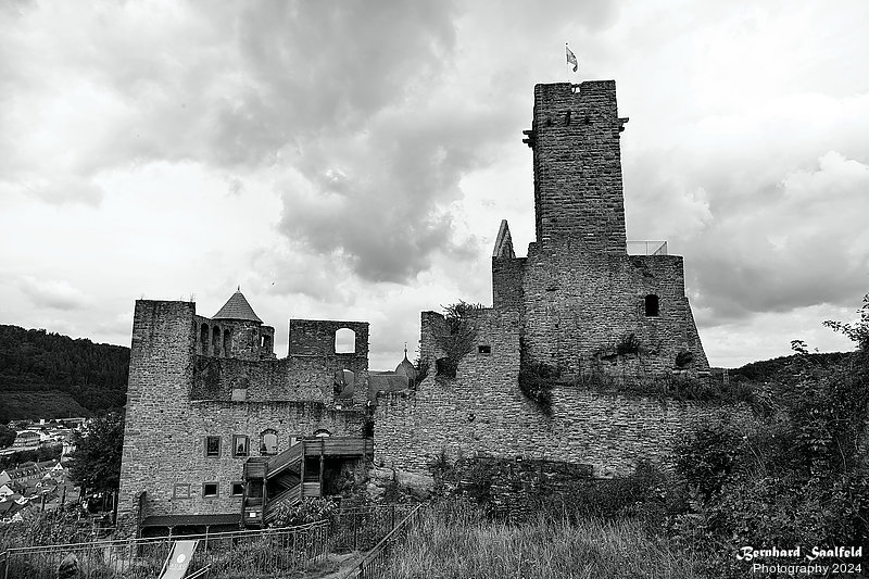 Bernhard Saalfeld - Burg Wertheim (3v9)